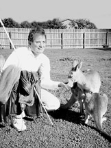 Photo of Marc Maurer squatting on the ground feeding a kangaroo out of his left hand.