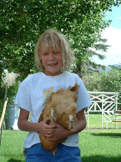 Hannah, with a gentle but firm grip, demonstrates how to show a chicken at the state fair: bottoms up!