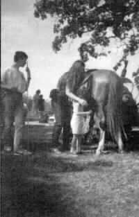 image of a scene of a horse and campers at the 1993 NFB camp day trip.