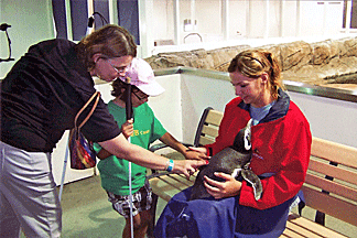 Torrie Franklin and a blind adult examine a penguin held by a SeaWorld docent.