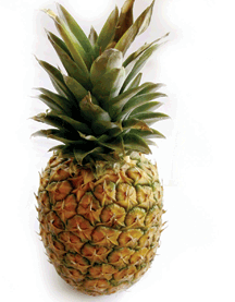Pineapple