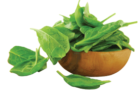 Spinach in a wooden bowl.