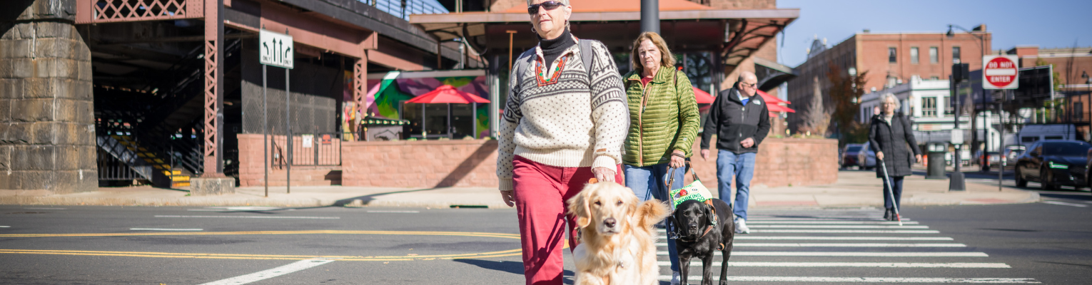 two guide dog users and a white cane user walk at a cross walk