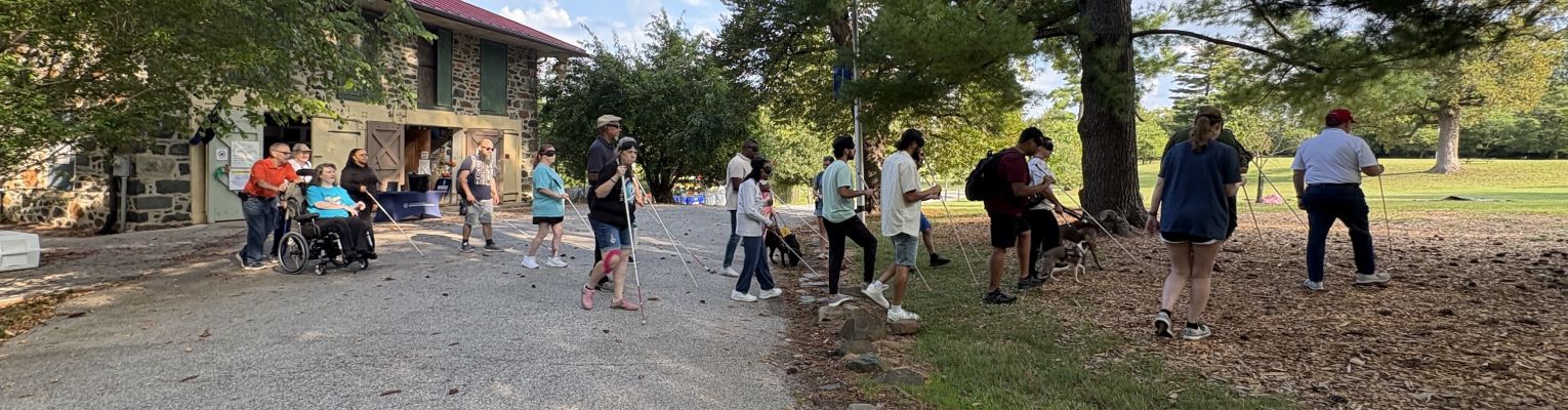 Several blind adults using white canes, guide dog handlers, and a wheelchair user walk through a park