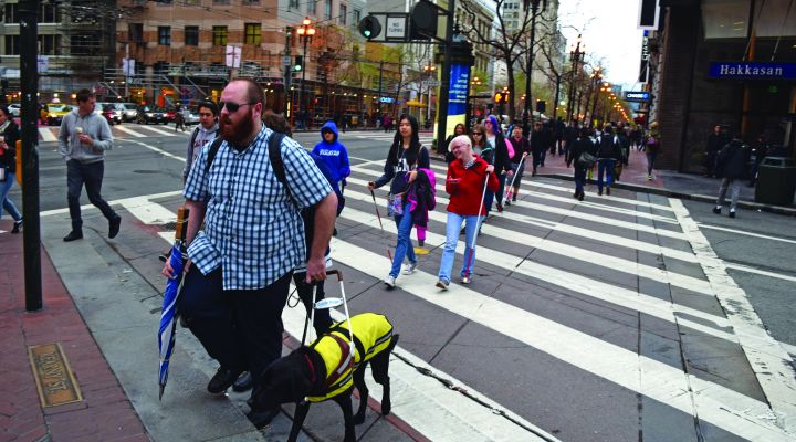 Blind people using white canes and a guide dog user cross a busy street