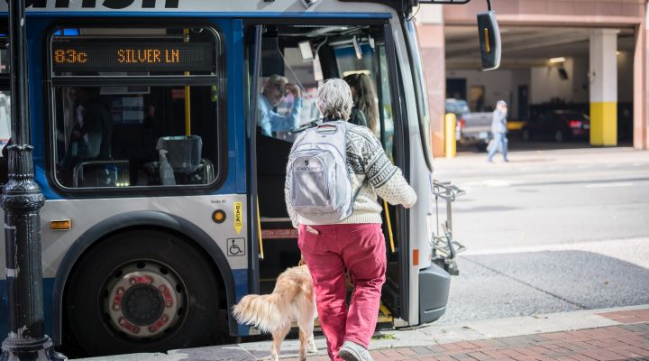 A woman and her guide dog board the bus
