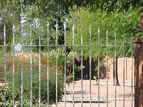 Pictured here are the attractive but unoccupied grounds of the Eye Dog Foundation for the Blind training campus in south Phoenix. This photograph was taken from just outside the property.