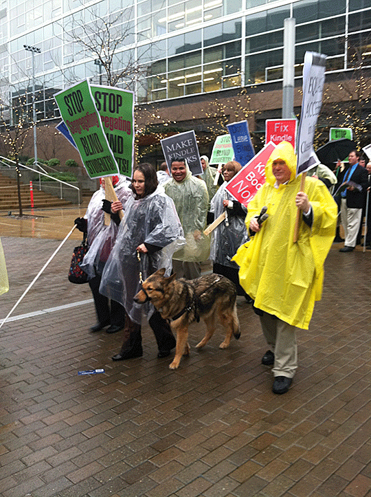 Line of protestors carrying signs in the Amazon protest