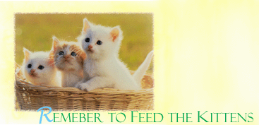 Remember To Feed The Kittens Cover