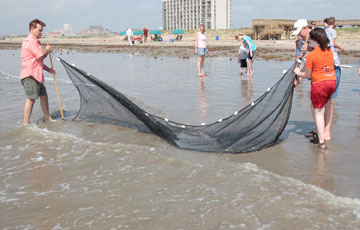 Instructor Katherine Pollock and a volunteer help Amelia Pellicciotti set up a seine net.