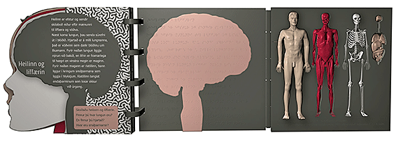 Three pages of the book showing various parts of the human body, including the head and brain