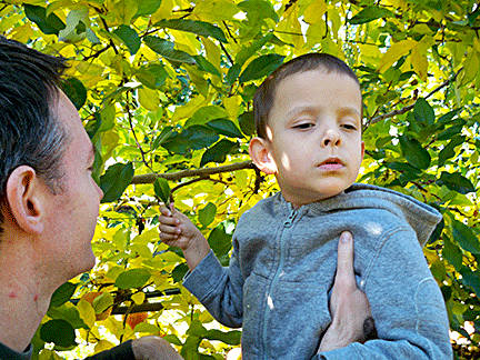 Dad lifts Ivan Bobnar to touch the leaves of a tree.