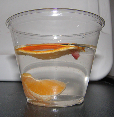 Orange peel floats, and unpeeled orange sections sink.